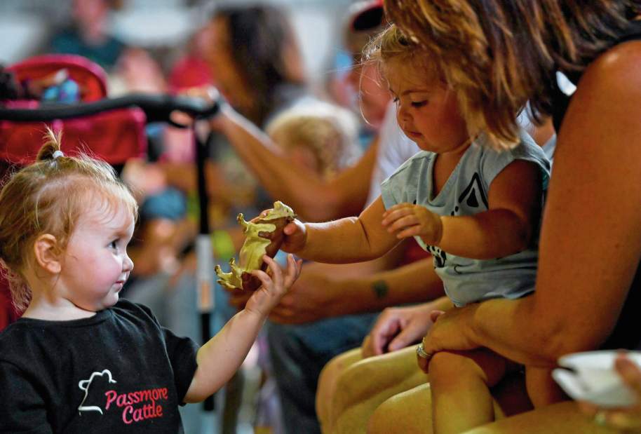 132093VNDArmFair10081718