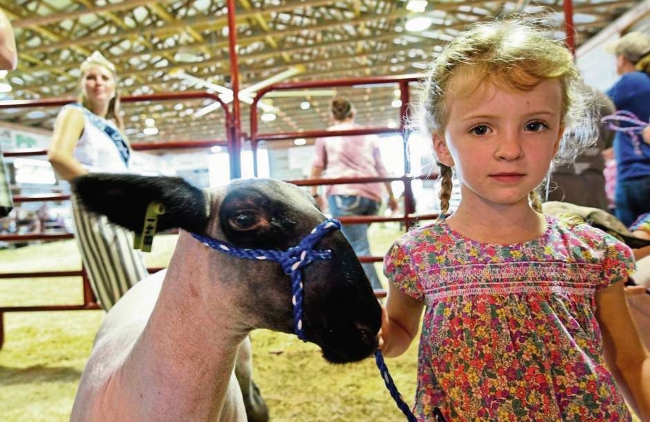 132093VNDArmFair1081718