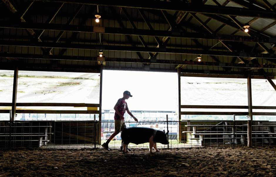 132093VNDArmFair2081718