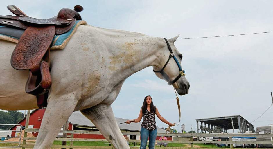 132093VNDArmFair4081718