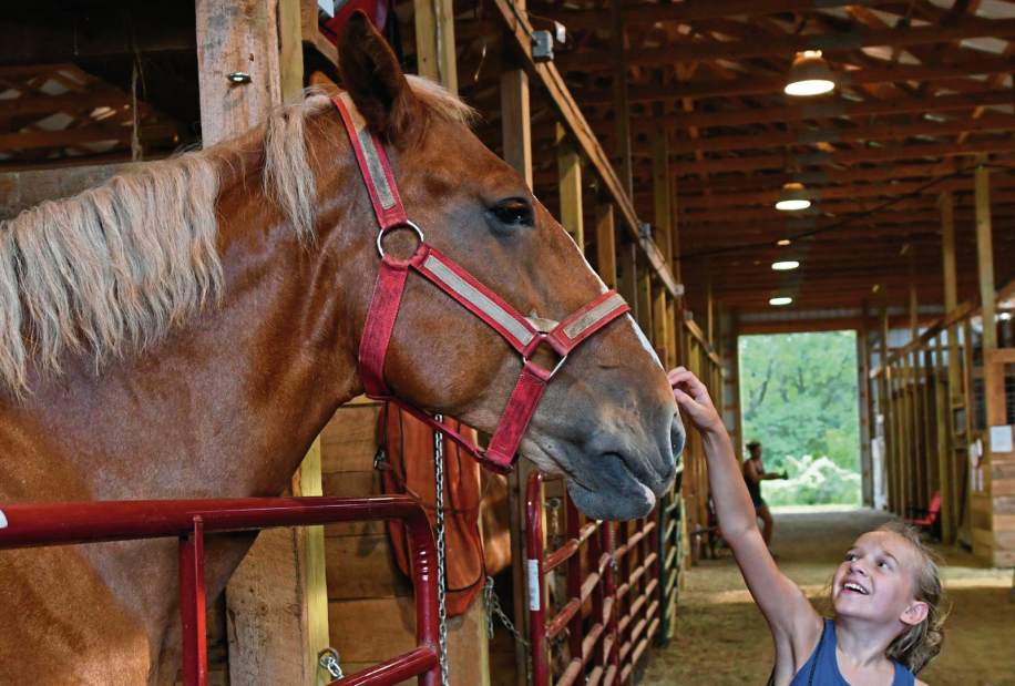 132093VNDArmFair5081718