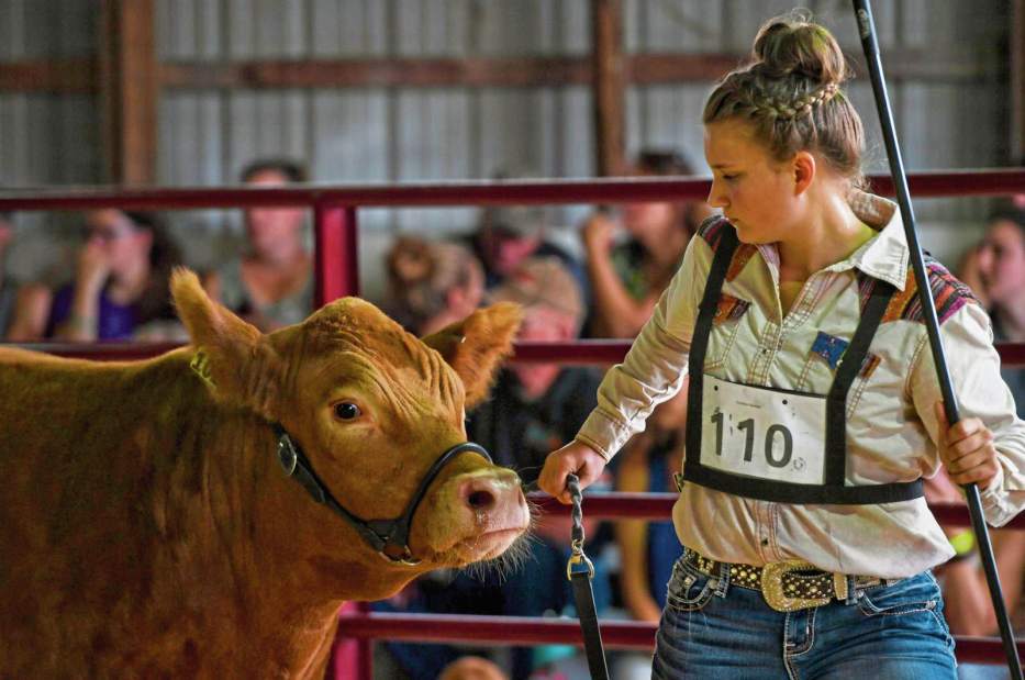 132093VNDArmFair6081718