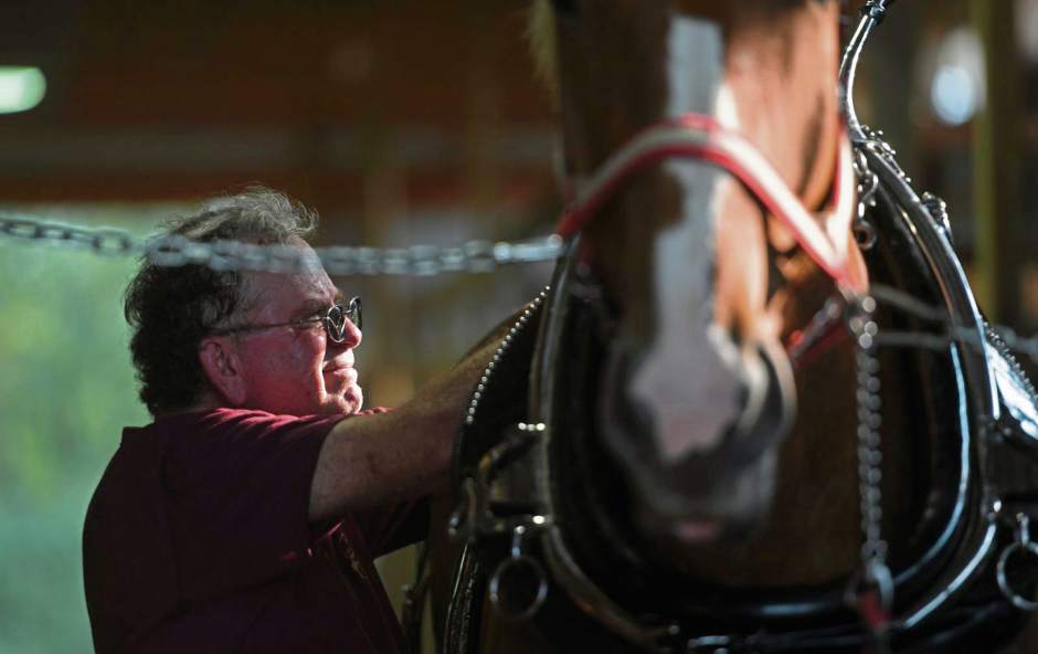 132093VNDArmFair7081718