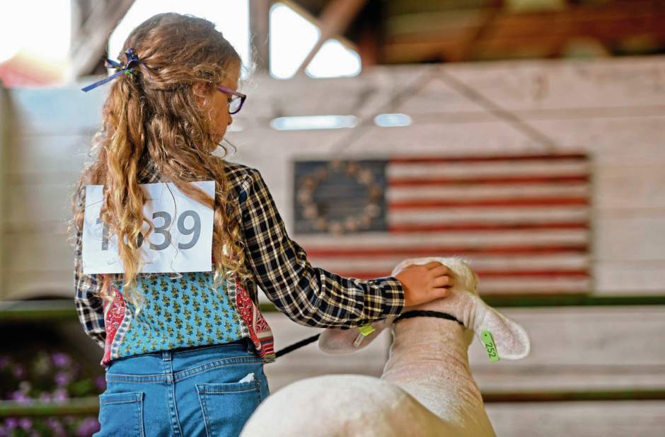 132093VNDArmFair8081718