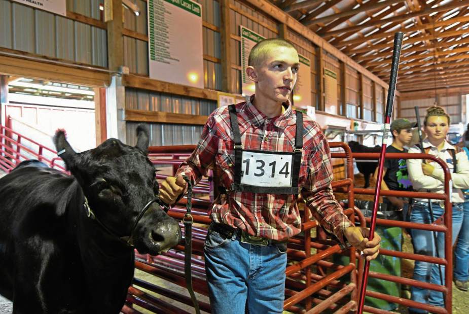 132093VNDArmFair9081718