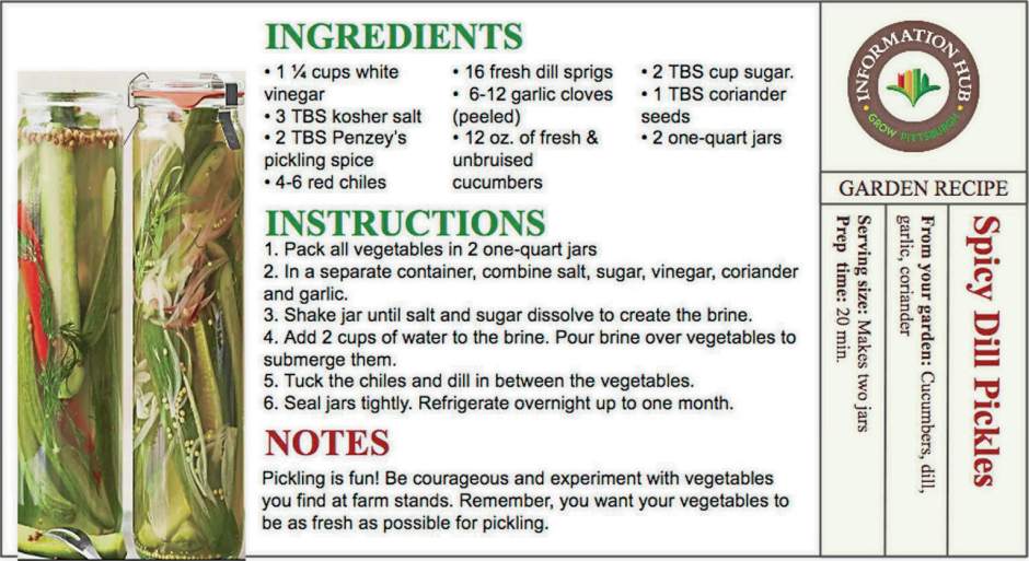 160172gtrlivpicklingdill082918