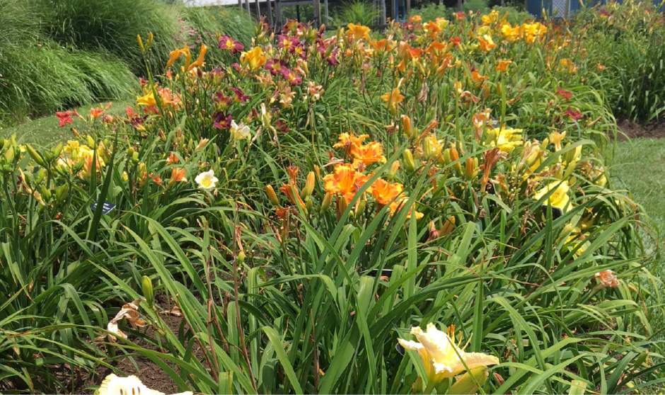 16073gtropenhouse2071318