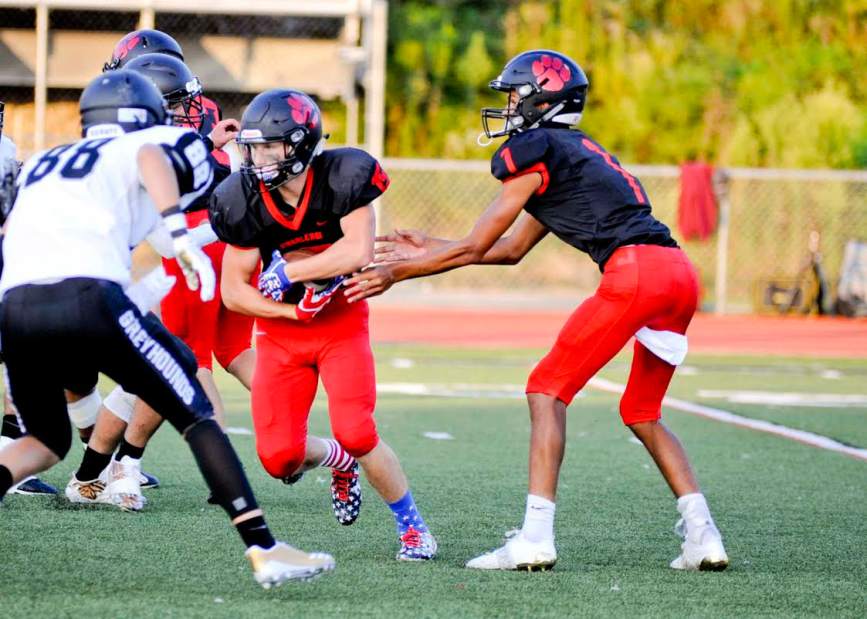 161478BraydenMihalcincarry