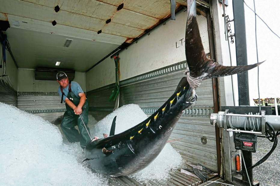 177389177389879542b6790145d4a2b0cd7073015ce8