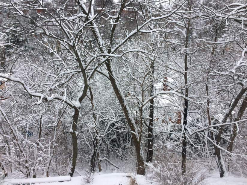 20170209benschmittsnow