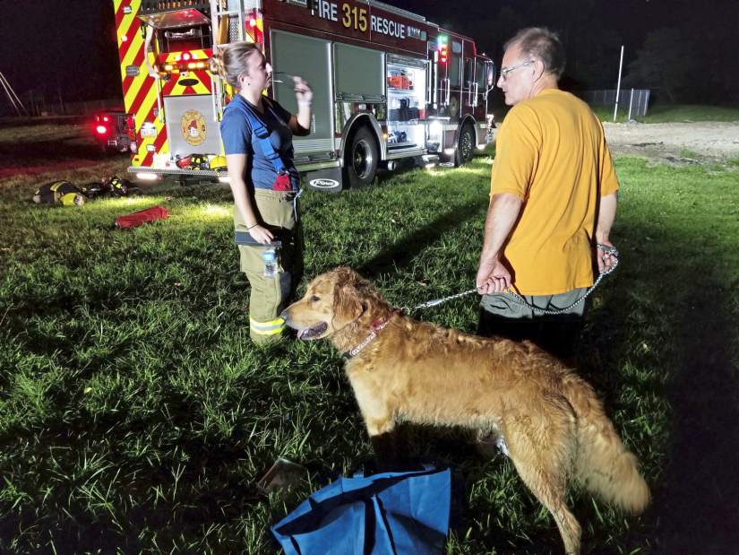 205768vndDogsStuckInPipe7090718