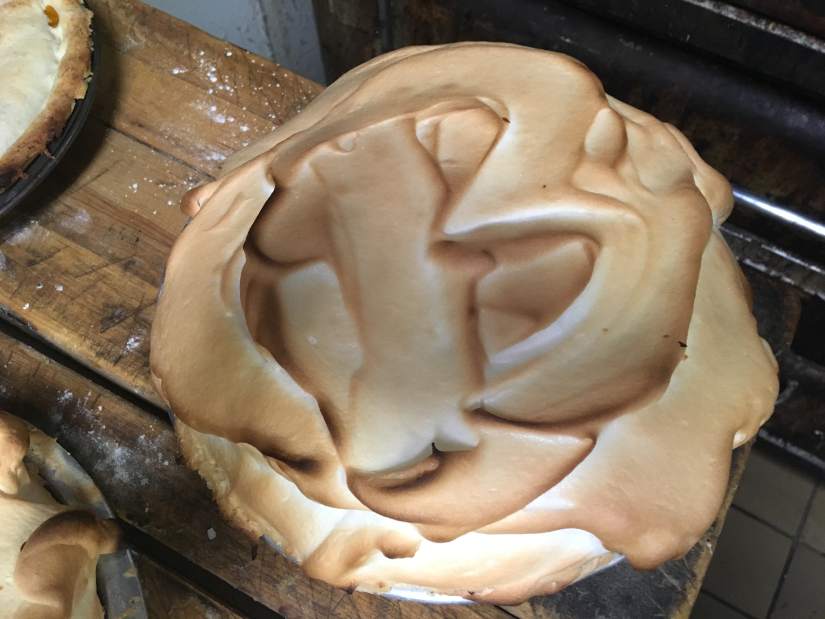 216466GTRLIVPIESMASSARTS3