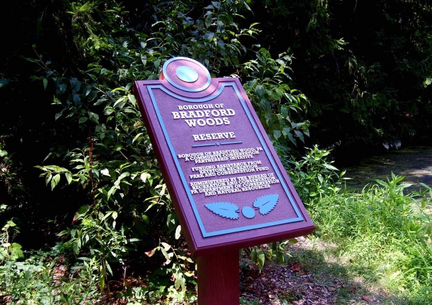 223121WEBBradfordWoods