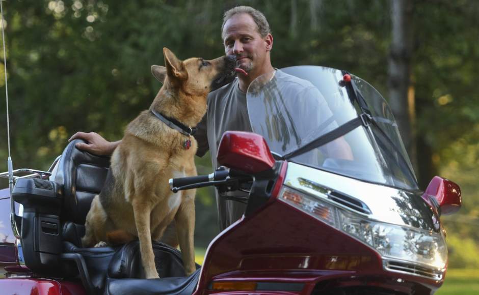 252473VNDDogChopper4092118