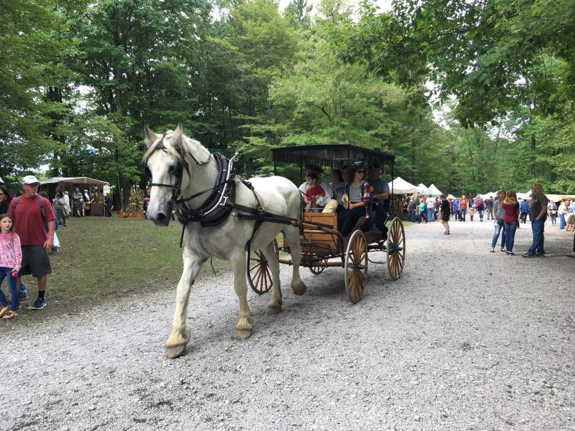 252531vndpennscolony4092418