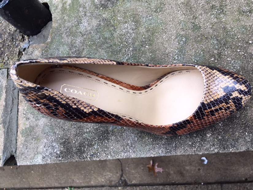 268154GTRLIVFAKEORREALDOVESHOES