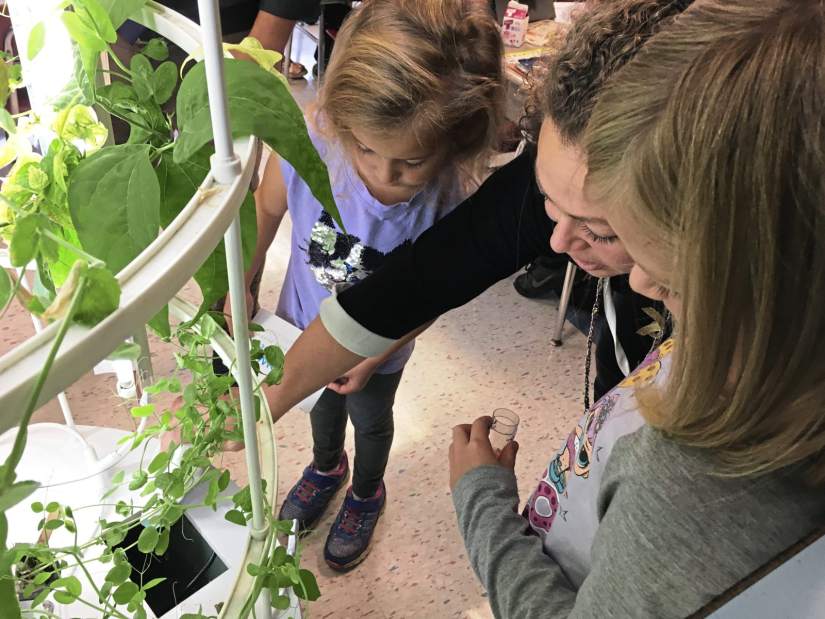 329289vnddeerlakes1101218