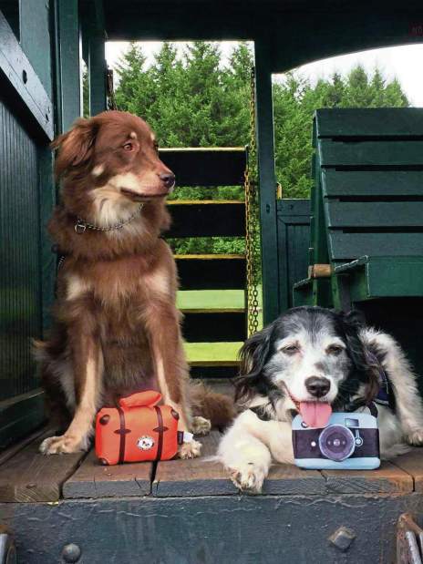 329640njcrisis2102518