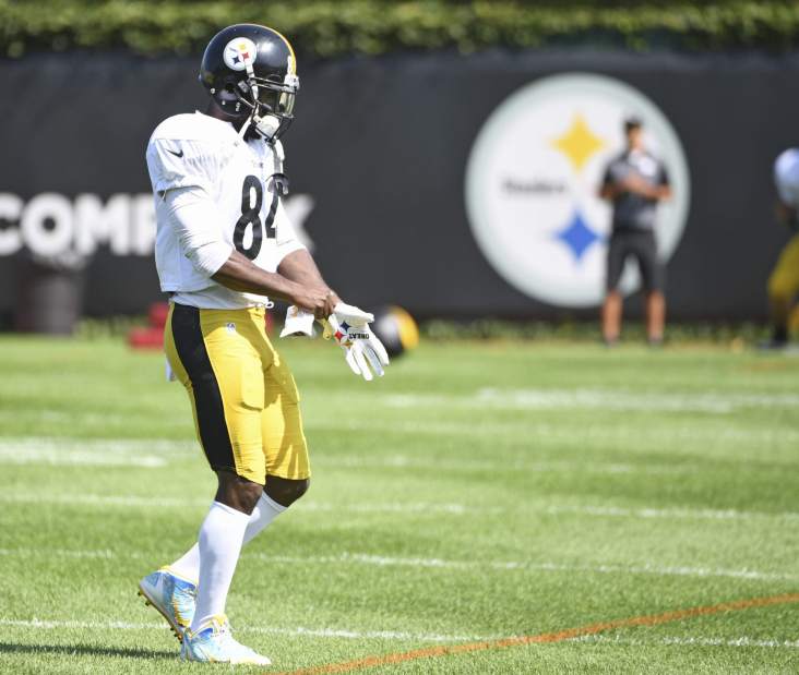 333627gtrSteelers01092018