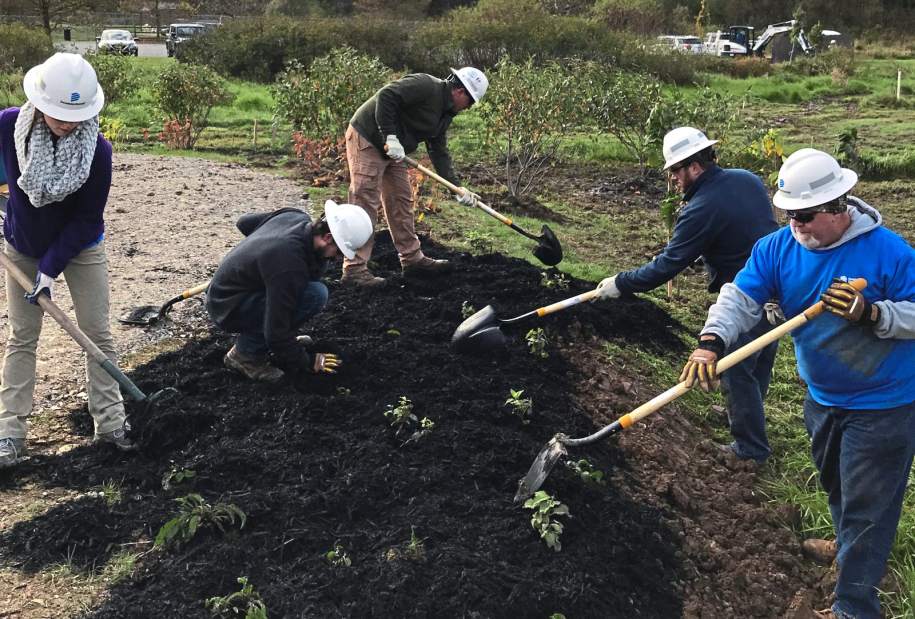 350191msplanting1102518