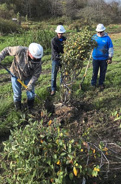 350191msplanting2102518