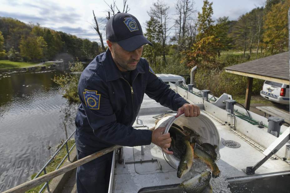 377871vndtroutstock2102618