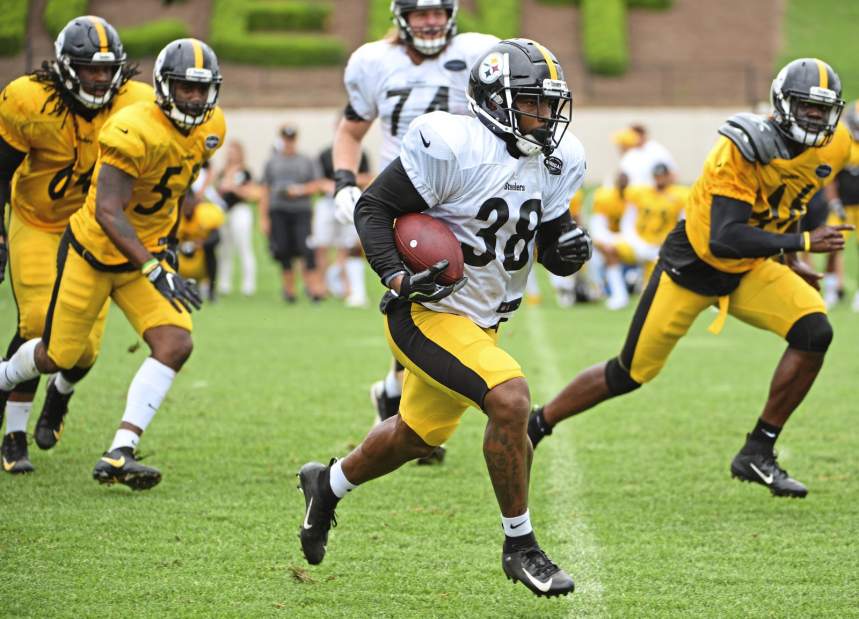 389022gtrsteelers08080318