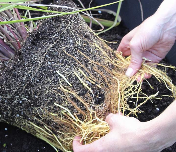 Slide 
													
													1