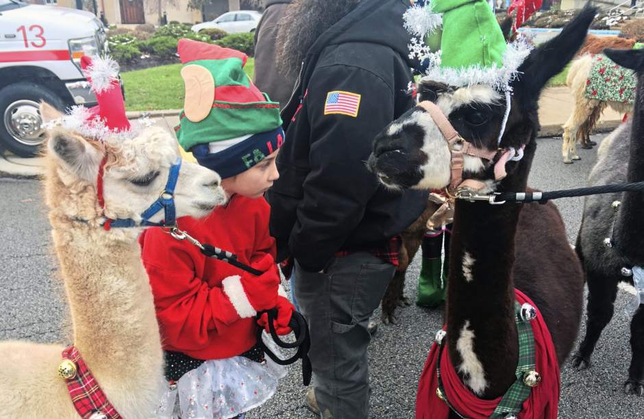 449333gtrGBGparade16111818