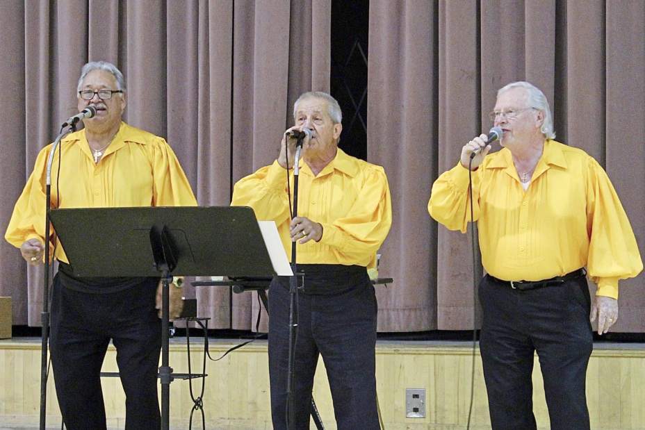 451852vndlivtady04111918