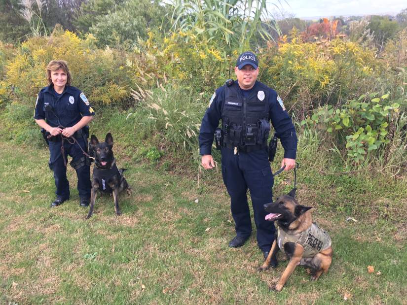 North Huntingdon K-9s get new vests