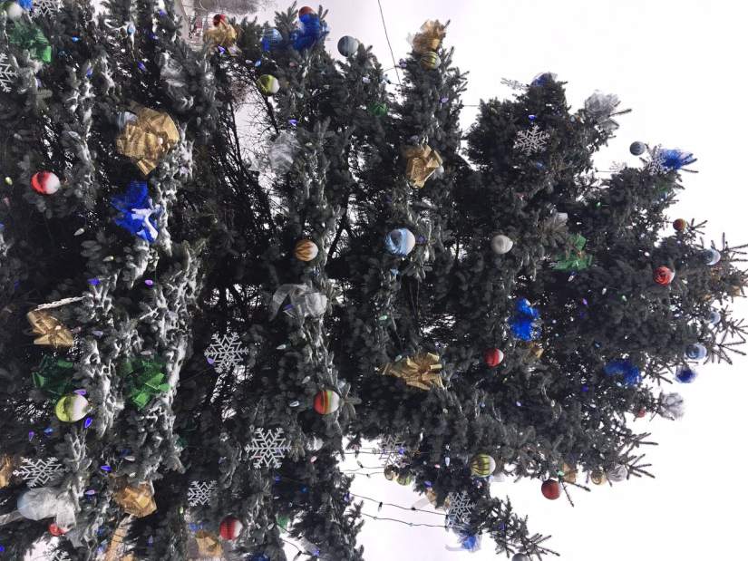 481937PTRHALLMARKCANNONTREE