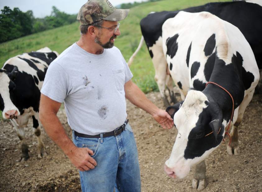 53613SBGdairy182