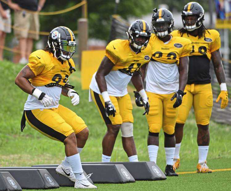 80147gtrsteelers07080218