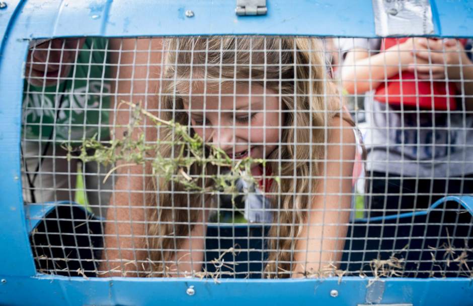 84016gtrLOFrogJump002080518