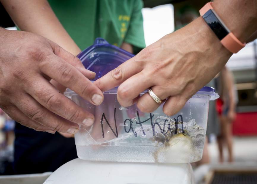 84016gtrLOFrogJump003080518