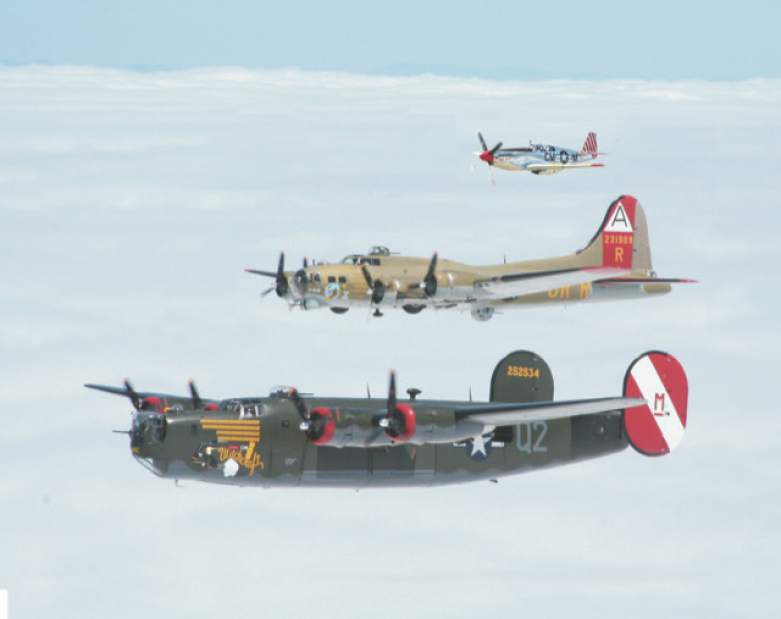 86331WingsOfFreedom