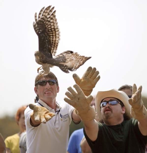 Slide 
													
													1