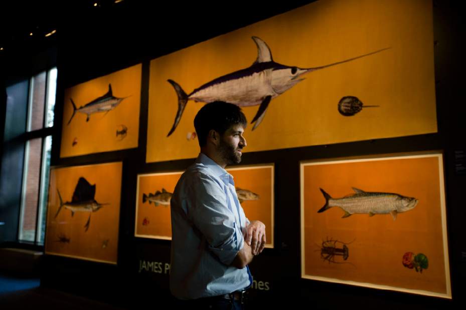 AudubonesqueFishJPEG03a23 AudubonesqueFishJPEG03a23