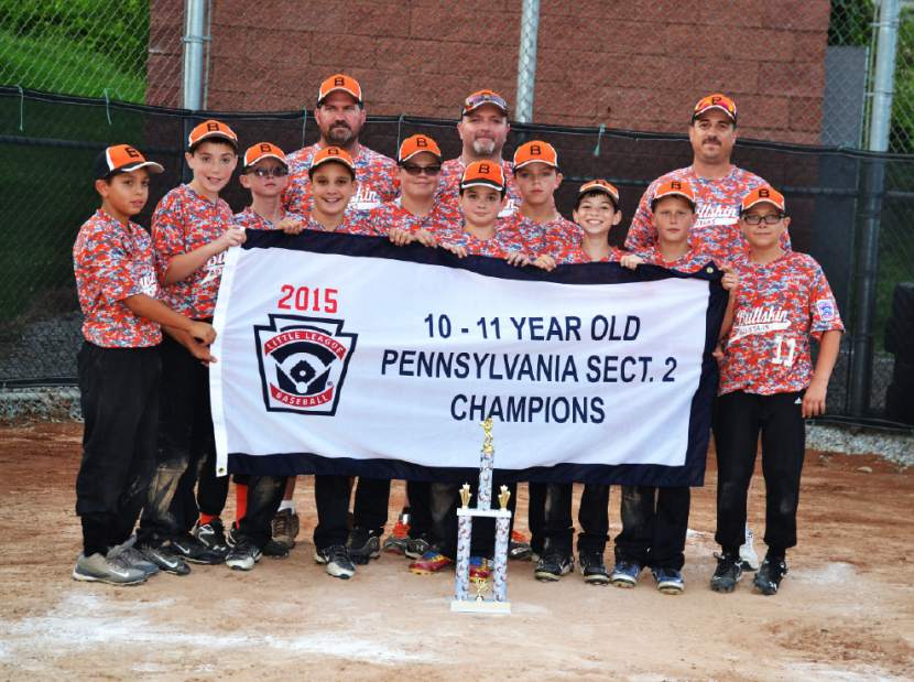 Bullskin Little League Wins District Title In Thriller Triblive Com