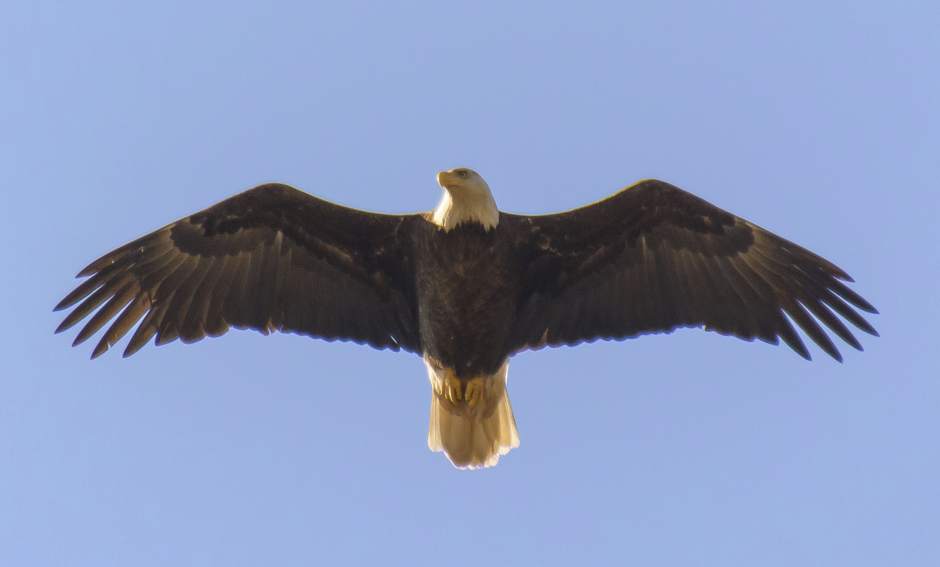 Slide 
													
													1