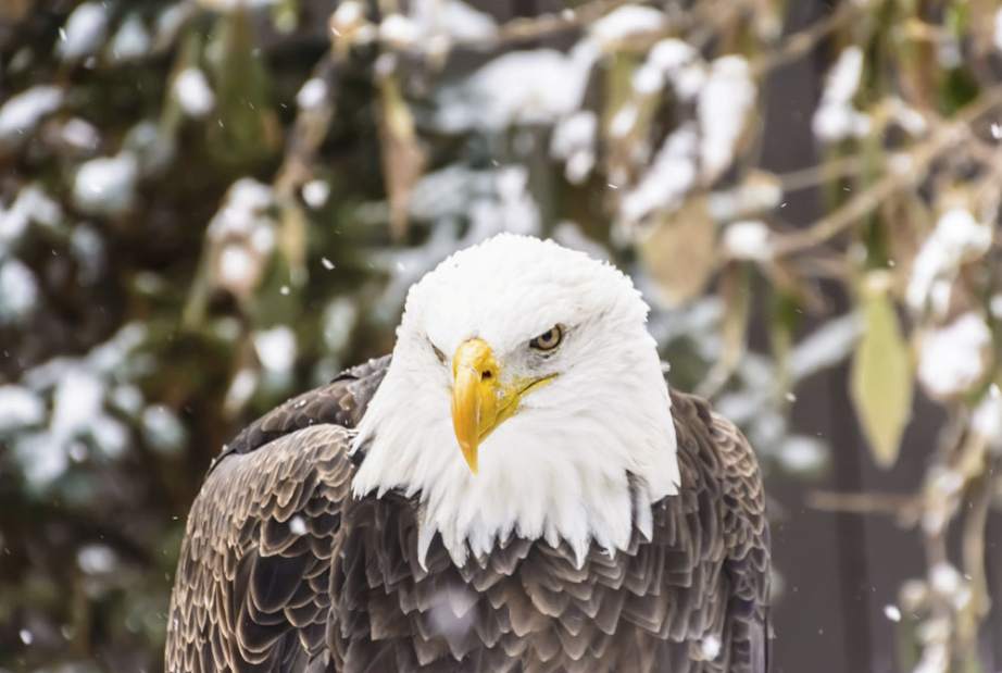 Slide 
													
													2