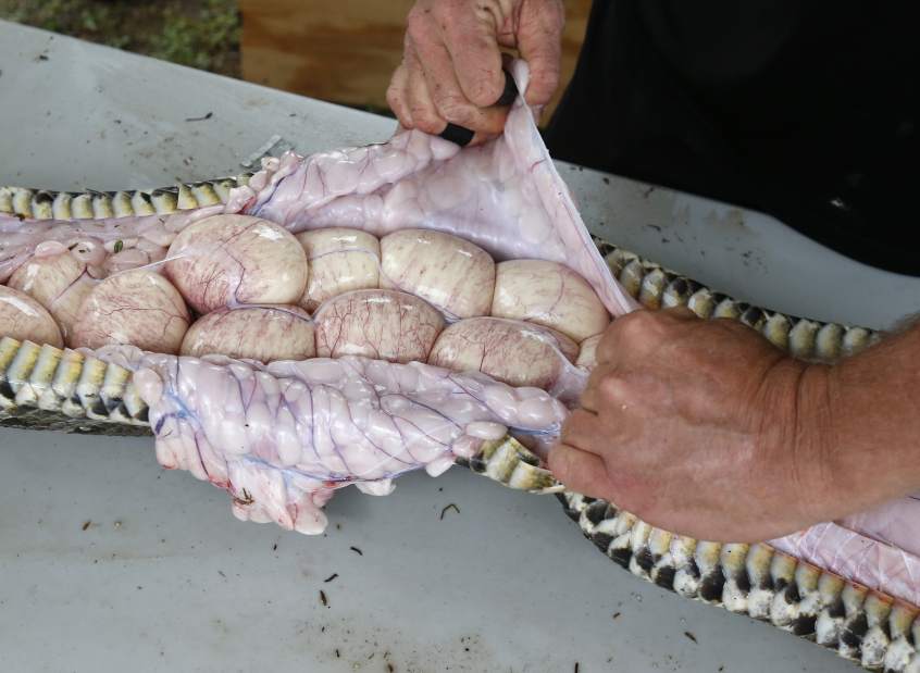 Slide 
													
													5