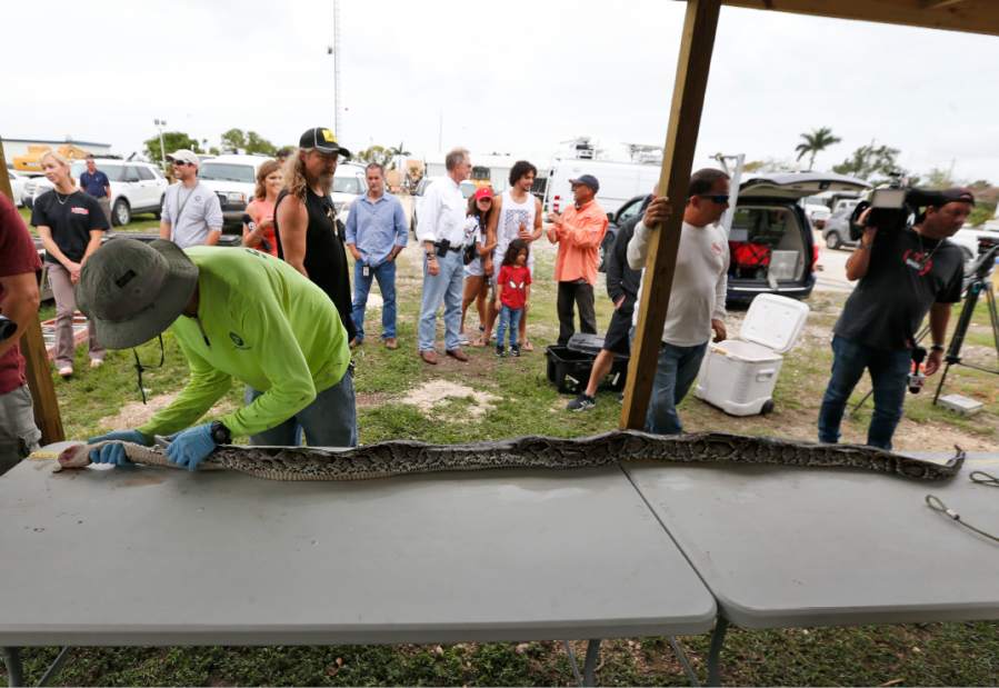 Slide 
													
													6