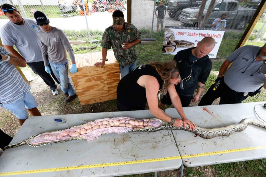 Slide 
													
													4