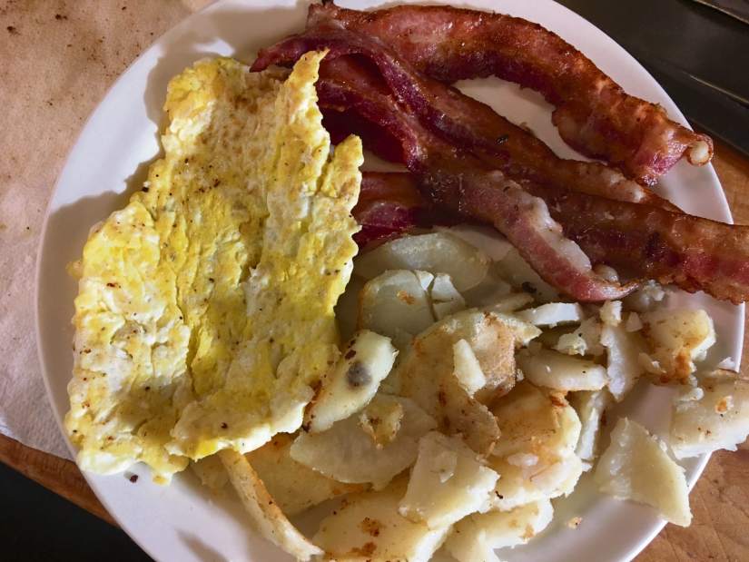 GTRLIVBREAKFASTMASSARTS