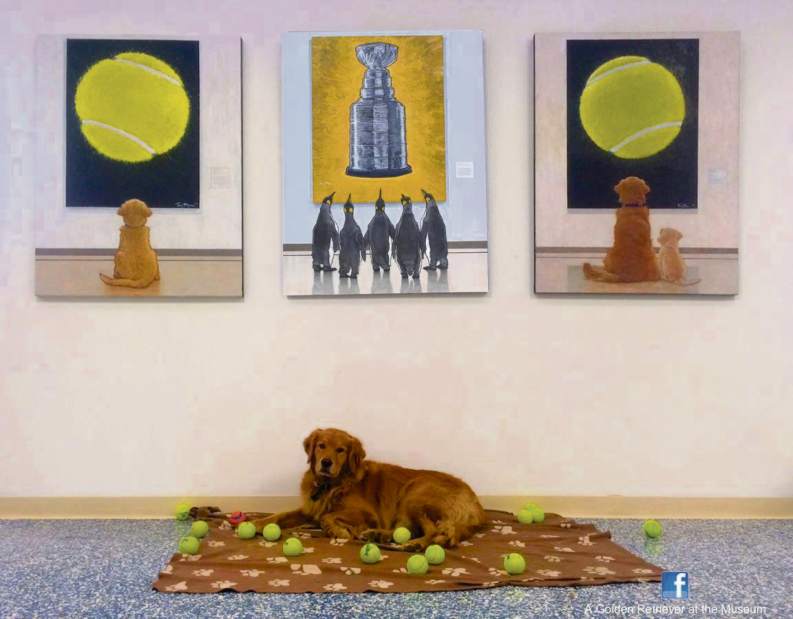 Slide 
													
													17