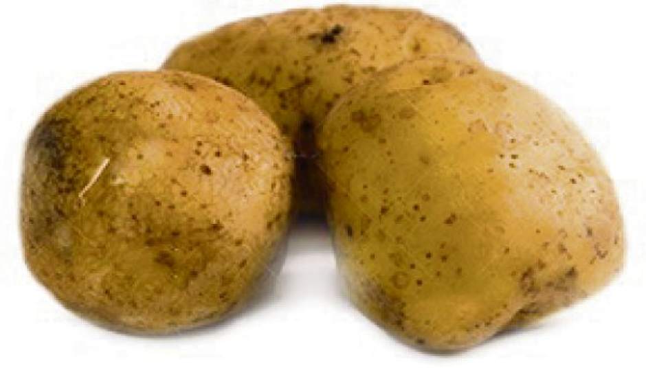 GTRLIVPOTATOVODKAPOTATO
