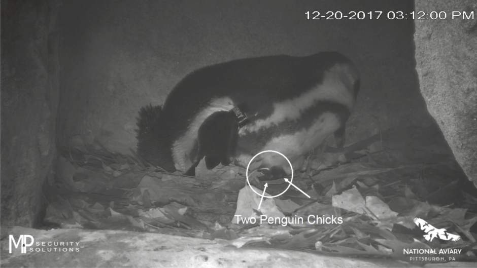 Slide 
													
													1