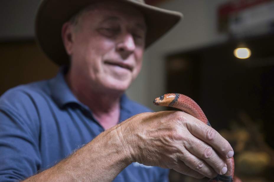 GTRLIVSNAKES03070117 GTRLIVSNAKES03070117